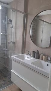 a bathroom with a shower and a sink and a mirror at Maison paisible et ensoleillée in Avignon