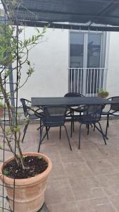 a patio with a table and chairs and a potted plant at Maison paisible et ensoleillée in Avignon