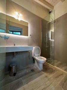 uma casa de banho com um WC, um lavatório e um chuveiro em Stablus house em Alykes Potamou