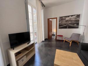 a living room with a flat screen tv and a couch at MALAGA CENTRO CATEDRAL in Málaga
