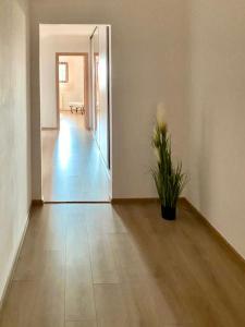 Fotografie z fotogalerie ubytování Casa Dima v destinaci Constanţa