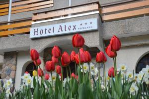 Foto dalla galleria di Hotel Alex a Leukerbad