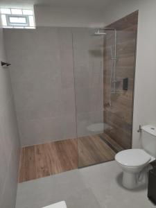 a bathroom with a shower and a toilet at Cruzeto in Syvota