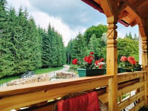 Zahrada ubytování Poiana Sașilor - Valea Doftanei
