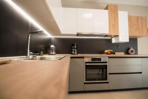 Kuchyň nebo kuchyňský kout v ubytování Maistros Home
