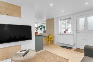 TV a/nebo společenská místnost v ubytování Cozy Downtown Apartment