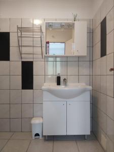 Un baño con un lavabo blanco y un espejo. en Studio apartman Martina, en Senj