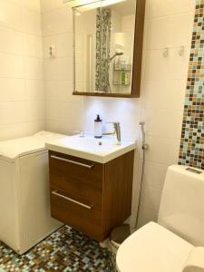 a bathroom with a sink and a toilet and a mirror at KAMPPI - Perfect location right in Helsinki center in Helsinki