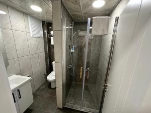a bathroom with a shower and a toilet at Ale Boutique Apartments in Antalya