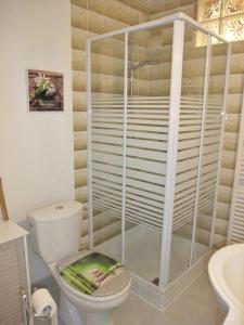 a bathroom with a toilet and a shower at Gîte Mirabella 