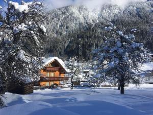 a log cabin in the snow with trees at Landhaus Dajana in Gaschurn
