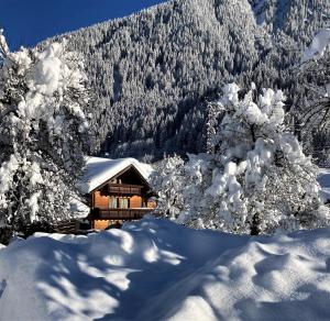 Landhaus Dajana v zime