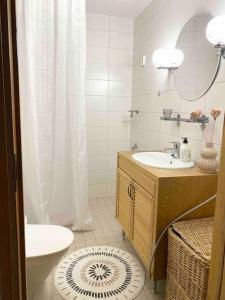 ein Bad mit einem Waschbecken, einem WC und einer Dusche in der Unterkunft ULLANLINNA Big apartment in the heart of Helsinki in Helsinki