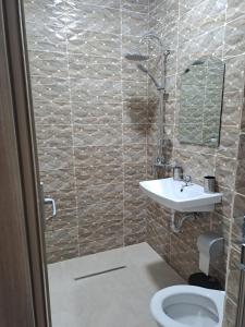 La salle de bains est pourvue d'un lavabo et de toilettes. dans l'établissement Pensiunea Theo Enelid, à Afumaţi