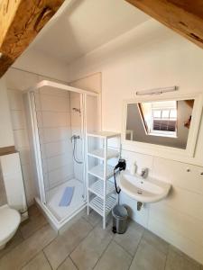 a bathroom with a shower and a sink at Pension Apostel in Wismar