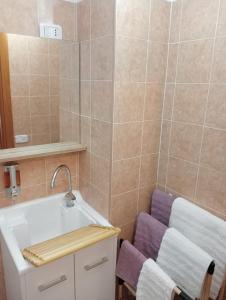 uma casa de banho com um lavatório e um espelho em Casa vacanze da CLARA em Castrovillari