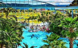 a large pool with people in it with palm trees at Traum-Maisonette auf 1.000m mit Pool und Sauna in Schönwald