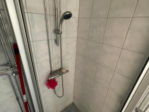 a shower with a shower head and a red leaf at Öreryd in Hestra