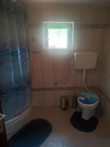 e bagno con doccia, servizi igienici e finestra. di Holiday Home Lucija a Jablanac (Iablanaz)
