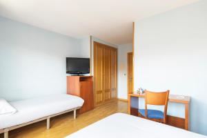 TV a/nebo společenská místnost v ubytování Hostal Alda Río Duero
