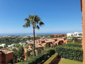 a palm tree in the middle of a city at Royal Apartment 2 /freeWiFi,sharedpool,freeparking in Málaga