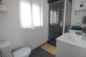 uma casa de banho com um WC, um chuveiro e um lavatório. em Le Fanfrelin : Grand studio rénové/ Wi-fi em Angoulême