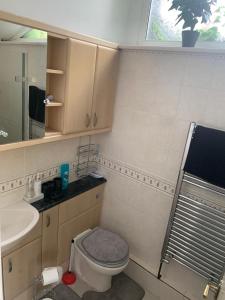 bagno con servizi igienici e lavandino di Lovely room in South London a Addington