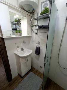 La salle de bains est pourvue d'un lavabo et d'un miroir. dans l'établissement Apartman Lav, à Divčibare