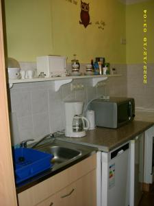 Kuchyň nebo kuchyňský kout v ubytování scheels-ferienwohnung