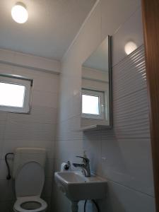 een badkamer met een wastafel, een toilet en een spiegel bij Bevanda in Široki Brijeg