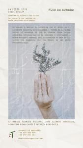 een hand met een plant op een muur bij Agroturismo Can Torna AG178 in Esporles