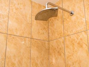 a shower with a shower head on a tiled wall at Royal Lodge in Sibasa