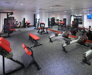 Fitness centrum a/nebo fitness zařízení v ubytování The Dilly