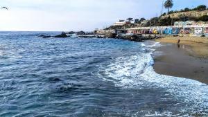 a view of a beach with the ocean at Valparaiso Primera Linea in Valparaíso