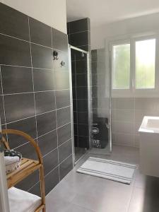 W łazience znajduje się prysznic i umywalka. w obiekcie Zénitude et proximité w mieście Billère