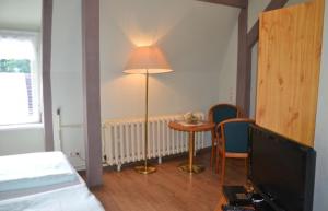 ein Schlafzimmer mit einer Lampe und einem Tisch mit einem TV in der Unterkunft Waldhotel Pfarrmühle in Eisenberg