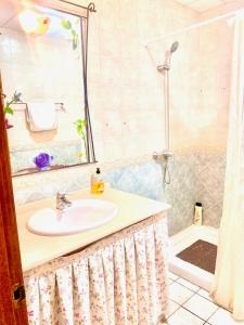 uma casa de banho com um lavatório e um chuveiro em Can Pantoni em Deltebre