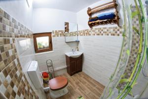 a small bathroom with a sink and a toilet at Casa Ciobanca in Vadul lui Carol II