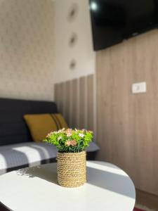 a plant sitting on top of a table at Hotel - Villa Lejla in Mostar