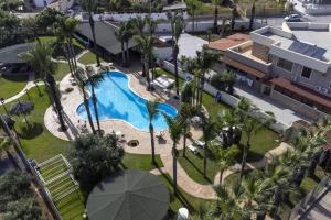 an overhead view of a swimming pool with palm trees at Oasi lamia - 6 in Mazara del Vallo +29 photos