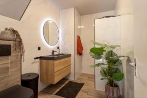 een badkamer met een wastafel, een spiegel en een plant bij Textielfabriek Jannink in Enschede