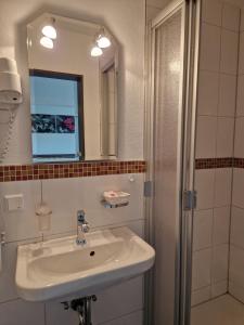 ein Bad mit einem Waschbecken, einem Spiegel und einer Dusche in der Unterkunft LandGASTHOF Rose in Dammbach