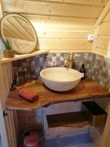 ein Badezimmer mit einem Waschbecken und einem Spiegel auf der Theke in der Unterkunft Le kota des 3 tilleuls in Dampierre-sur-Salon
