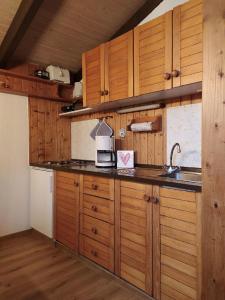 a kitchen with wooden cabinets and a counter top at Freyunger Berghaus in Freyung