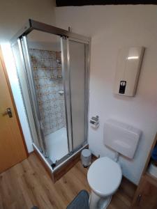 een badkamer met een douche en een wit toilet bij Freyunger Berghaus in Freyung