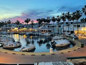 a group of boats docked in a marina with palm trees at Apartament z widokiem na morze in Son Xoriguer