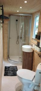 a bathroom with a shower and a toilet and a sink at Treehouse LEA in Mikulášovice