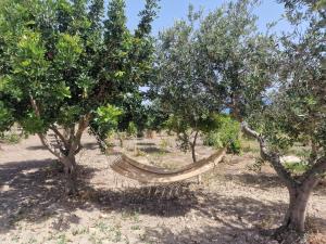 Um jardim em Tendu' Punta Bianca Glamping Camp