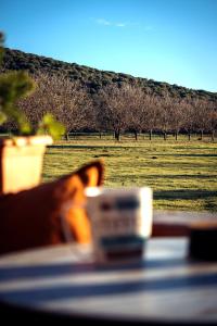 une tasse de café assise sur une table devant un champ dans l'établissement The Rancho Relaxo, à Zítsa