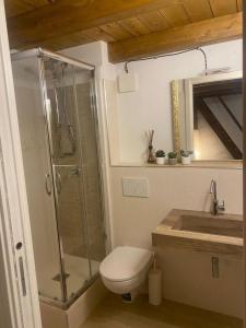 y baño con ducha, aseo y lavamanos. en La casetta di Vany, en Nova Siri